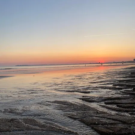 Horizon Bleu : Vue à Appartement *